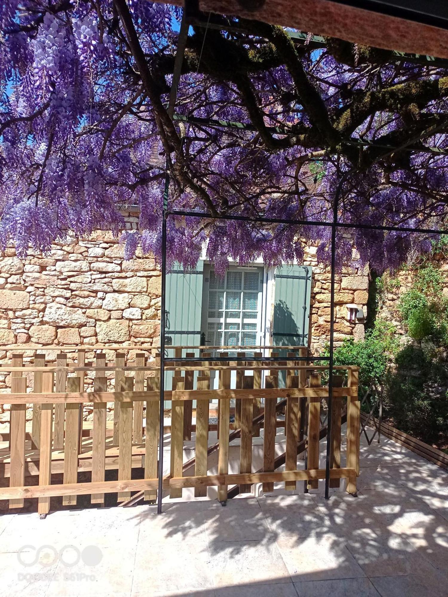 Maison Les Glycines La Roque-Gageac Luaran gambar